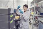 Photo of Li Wang, PhD