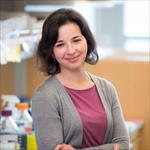 Photo of Anna Victoria Molofsky, MD, PhD