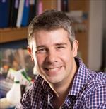 Photo of Stephan Sanders, PhD