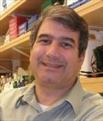 Photo of Mark Lawson