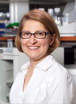 Photo of Mana Parast