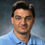 This is an image of Julio A. Camarero Palao, PhD, Click here to see their profile