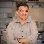 Photo of Julio A. Camarero Palao, PhD