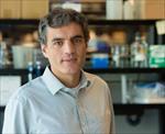 Photo of Jorge J. Palop-Esteban, PhD