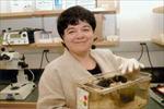 Photo of Licia Selleri, PhD, MD