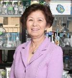 This is an image of Jean Chen Shih, PhD, Click here to see their profile