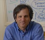 Photo of Ira Mellman, PhD