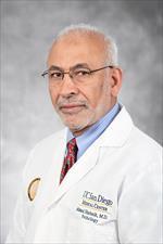 Photo of Ahmed Shabaik