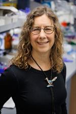 Photo of Juli F Feigon