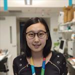 Photo of Mengyi Song, PhD