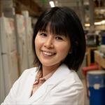 Photo of Yuki Yamaguchi