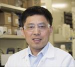 Photo of Yang Kevin Xiang