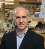 Photo of Daniel H Geschwind