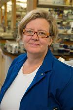 Photo of Kathrin Plath