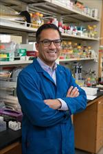 Photo of Siavash K Kurdistani